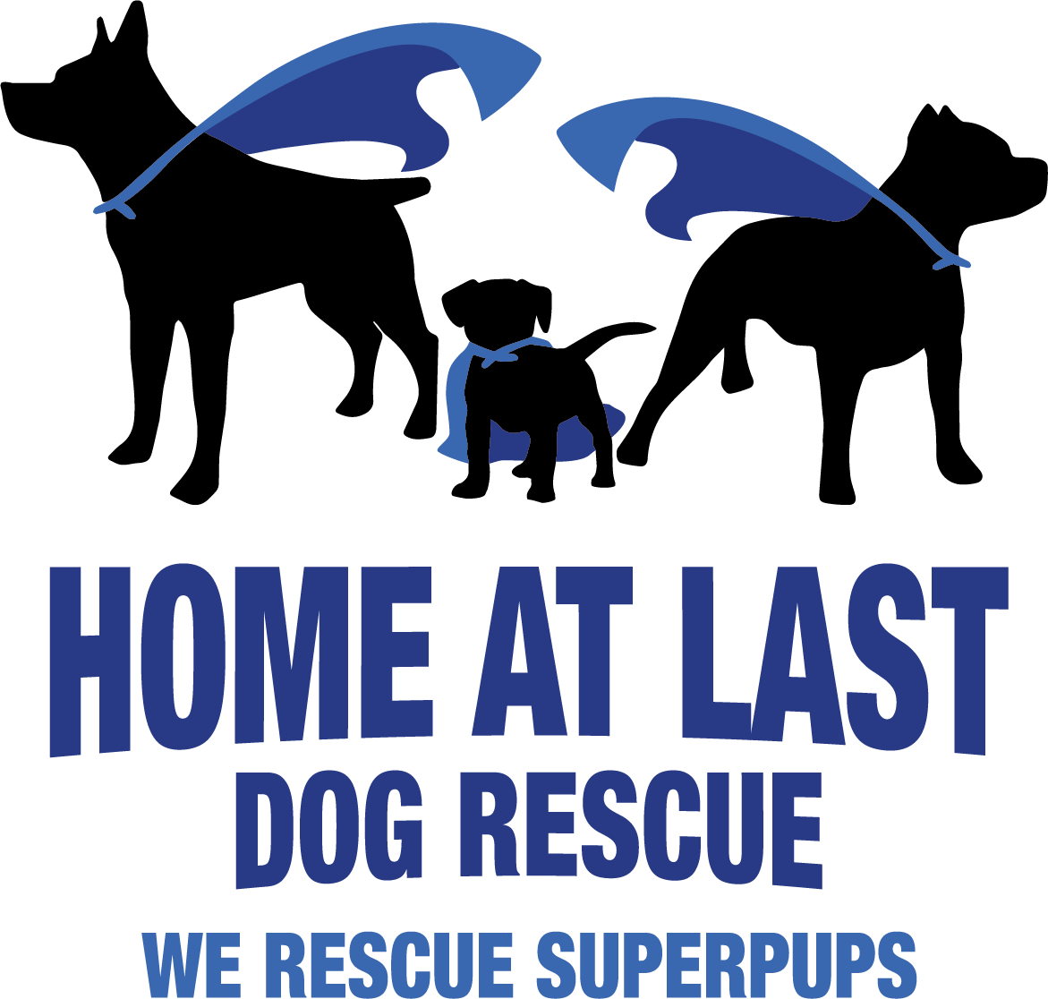Home at last dog rescue deals